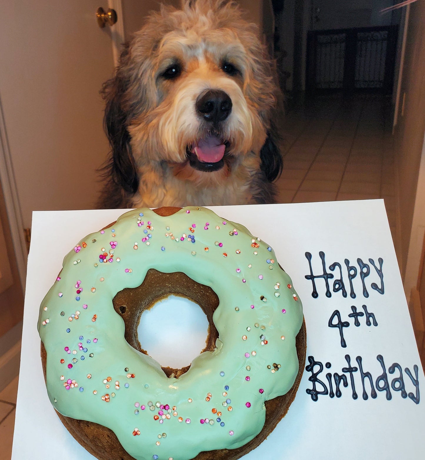 Giant Donut Dog Cake